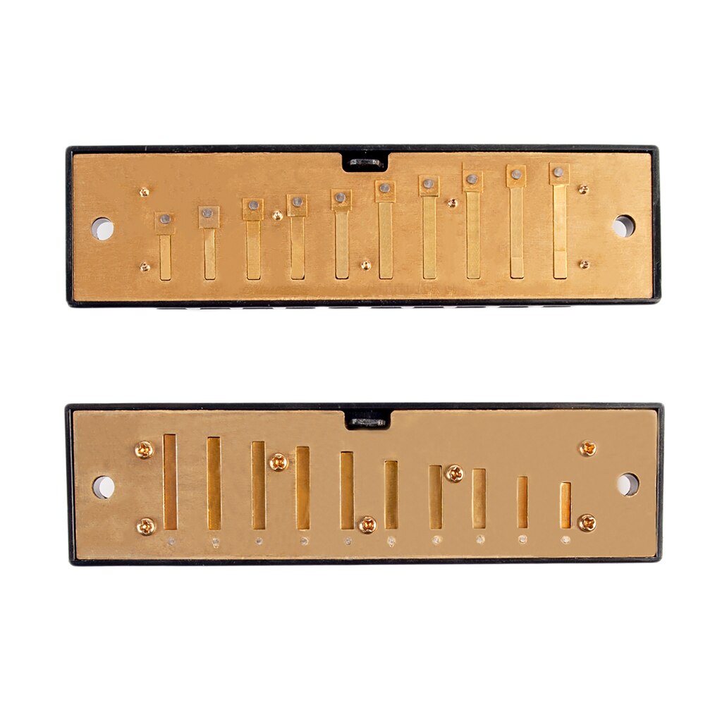 Naomi 10 Holes Harmonica Reed Replacement Reed Plates Key Of C Brass Reed Unfinished Harmonica Comb Woodwind Instrument Parts