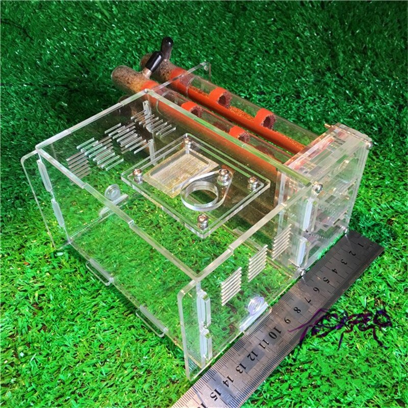 Acrylic Ant Farm With Feeding Area Ant Nest Ants House Factory Insect 6 Test Tubes Pet Anthill