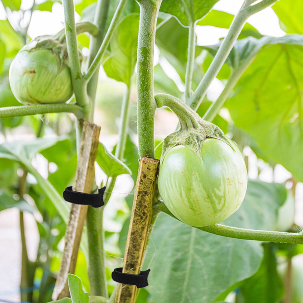 Fastening Cable Ties Durable Material Multi-purpose Black Multifunctional Reusable For Garden Nylon And Polyester 10pcs Strap