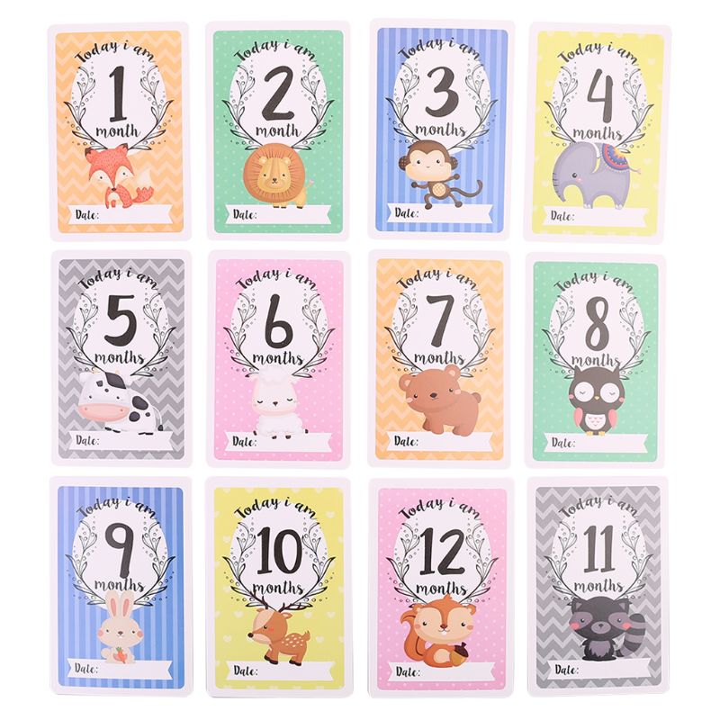 12 Sheet Milestone Photo Sharing Cards Set Baby Age Cards - Baby Milestone Cards, Baby Photo Cards - Newborn Photo