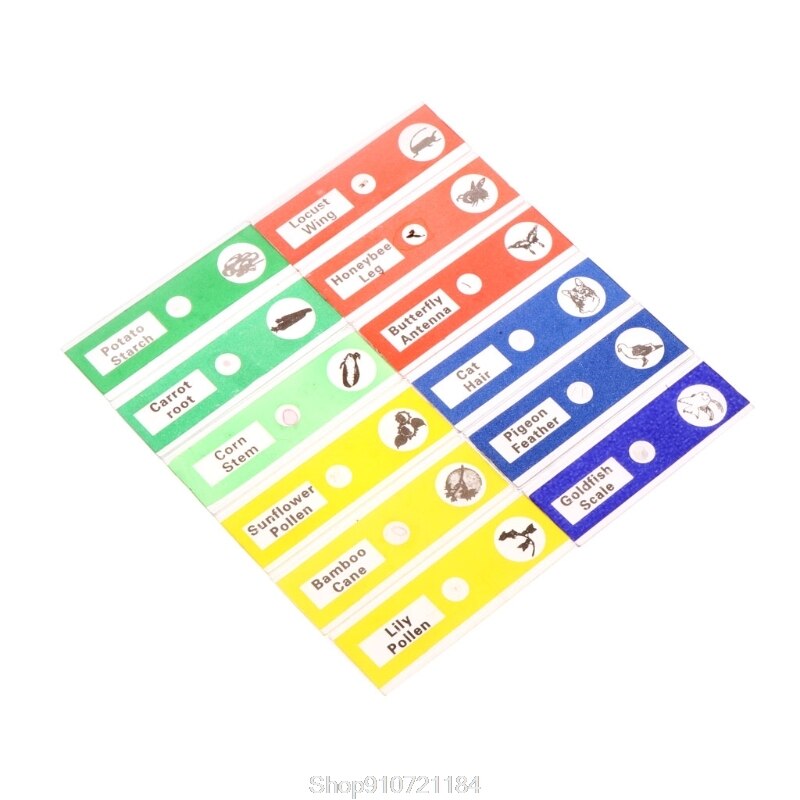 12 Pcs Prepared Microscope Slides Set Specimen For Student Basic Biology Education