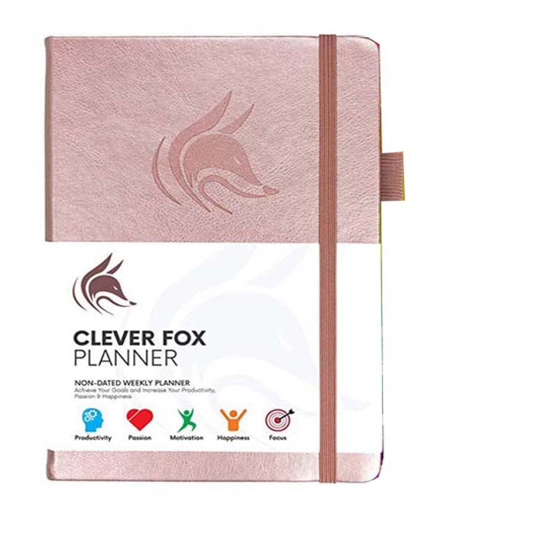 Monthly weekly planner agenda organizer diary notebook stationery daily goal tracking plan A5 leather hardcover office plan: Champagne gold