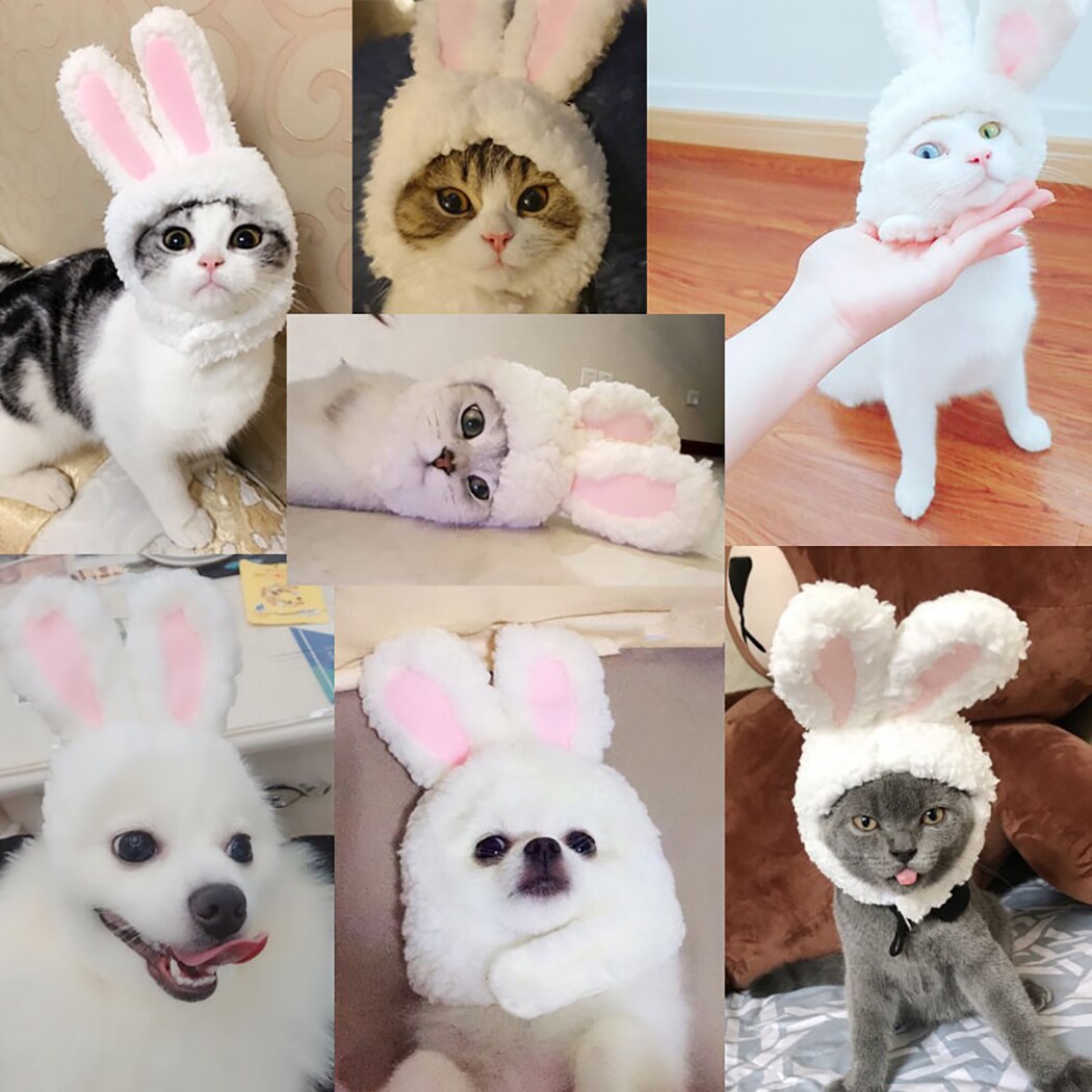 Słodki pies kapelusz zwierząt Kawaii placki czapka ciepłe akcesoria dla zwierząt domowych czapki dla psów czapki zwierząt domowych czapka śmieszne Cosplay dla zwierząt domowych kapelusz dla małych szczeniąt