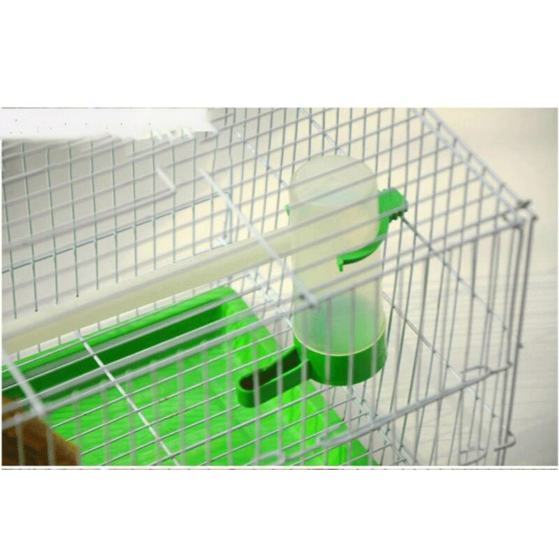 Bird pet quail chick Bird automatic water feeder Ruting chicken blue breast quail osmanthus bird kettle bird cage