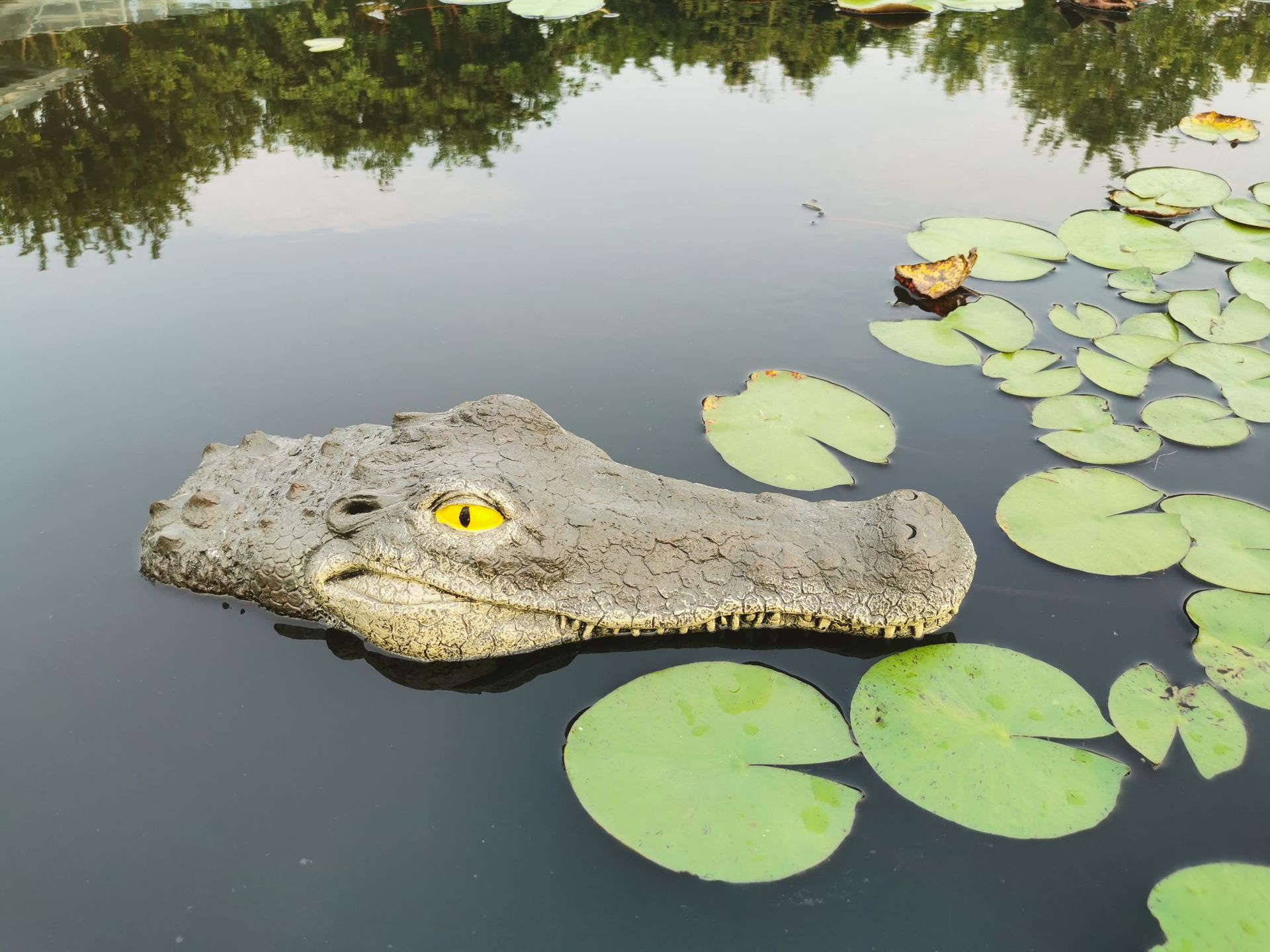 Cabeza de cocodrilo de Animal flotante para estanque de jardín, artesanía de resina, ornamento, parque, piscina, parodia de natación, decoraciones de simulación,: 4
