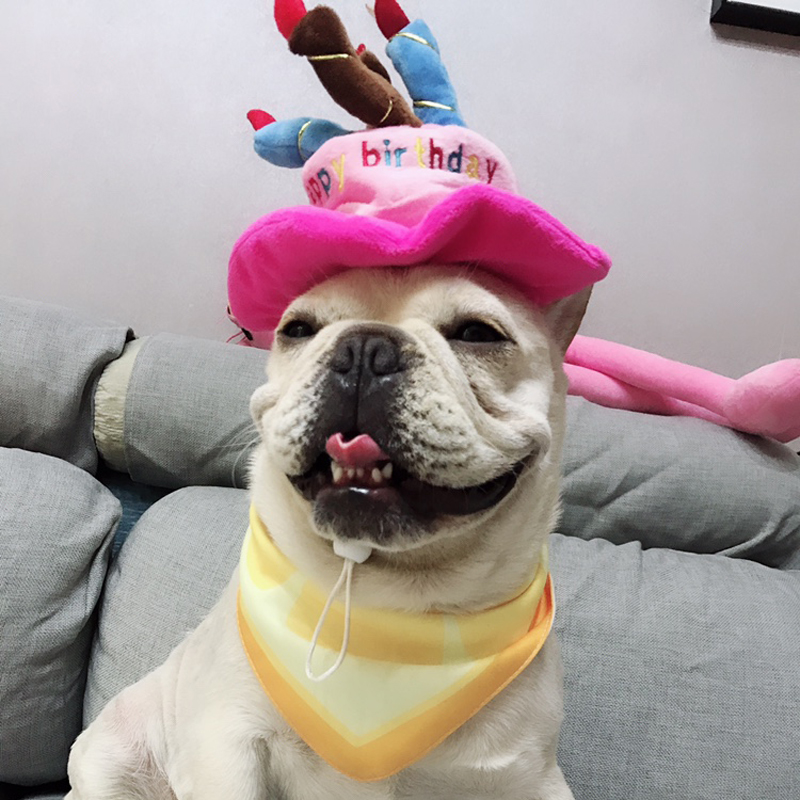Kjæledyr hund bursdag hatter luer morsom valp katt hodeplagg søte kjæledyr lue tilbehør til små hunder chihuahua mops bulldog kjæledyr forsyninger