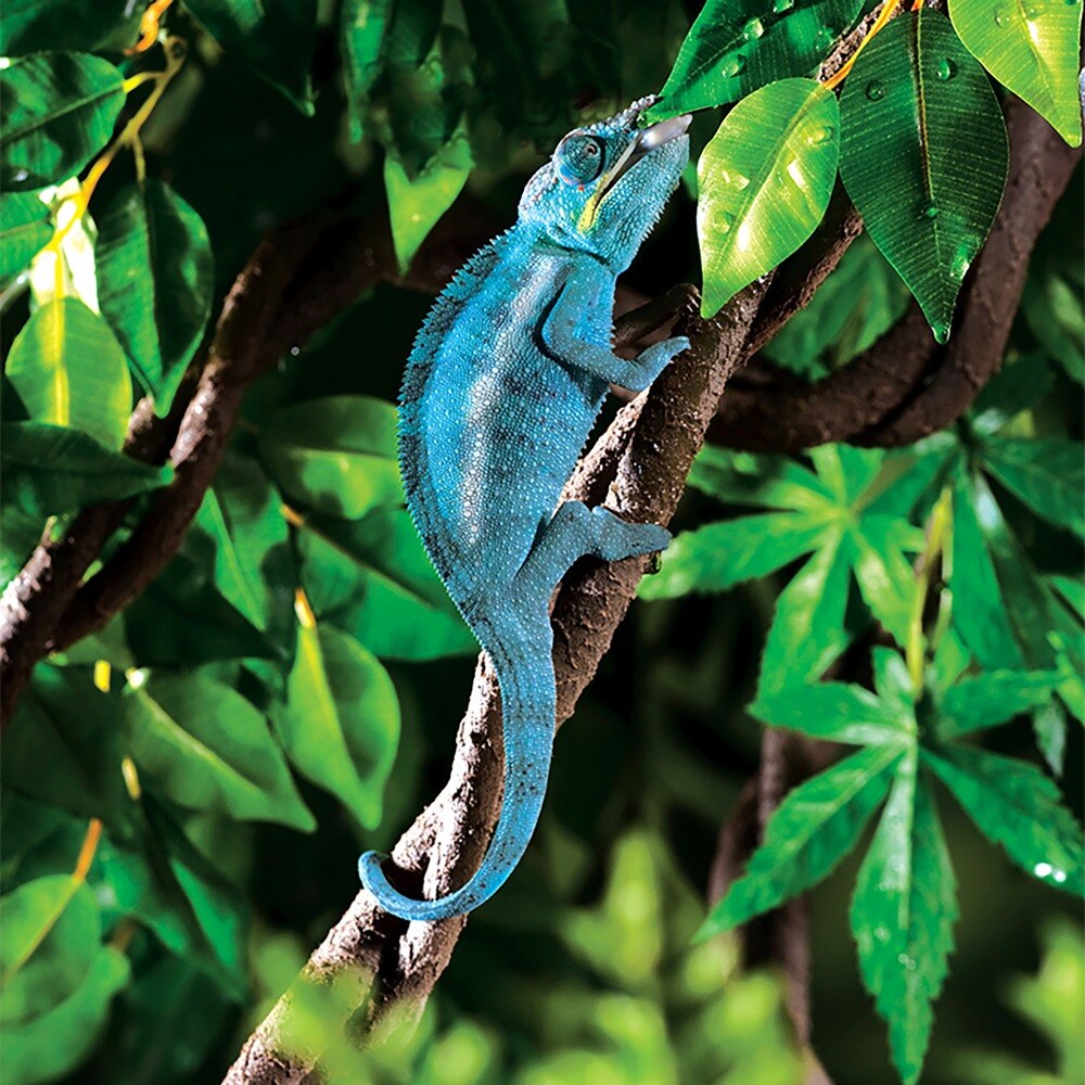 Artificial Water Proof Banyan Vine Jungle Vine For Gecko Lizard Chameleon Tree Frog Rain Forest Vivarium Terrarium Decoration