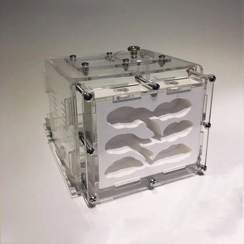 DIY Gypsum Ant Farm Plaster Ant Nest with Feeding Area Moisturize Ecological Ant House Workshop for Pet Anthill