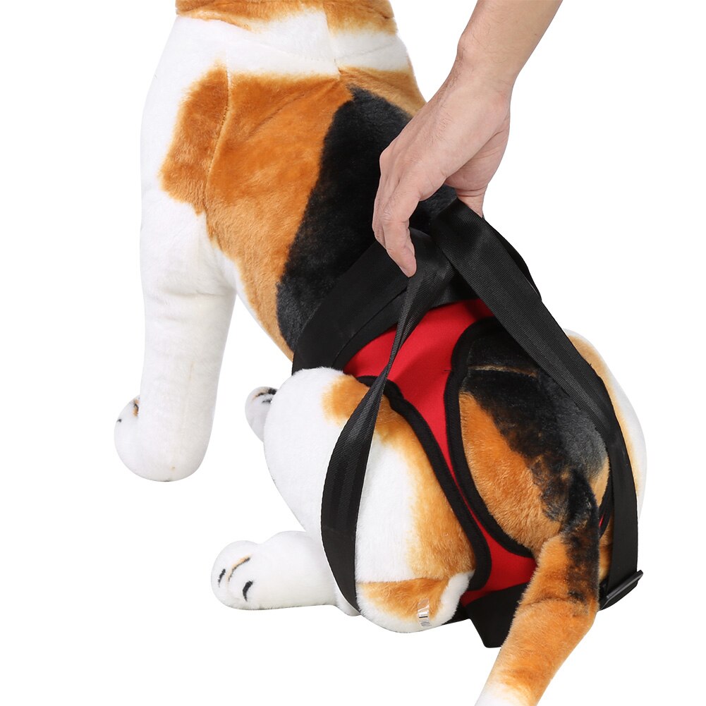 Avant arrière jambes chien ascenseur assistance soutien harnais pieds queue Support marche aide gilet pour chien aider personnes âgées malades blessés chien animal de compagnie