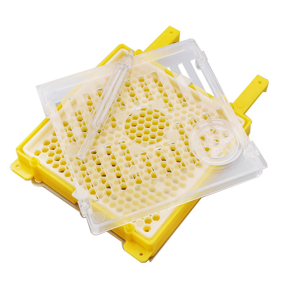 Queen Rearing Box Queen Breeding Kit Bee Incubator Beekeeping Tool Kit Queen Cell Complete Rearing Kit Beekeeping Rearing System