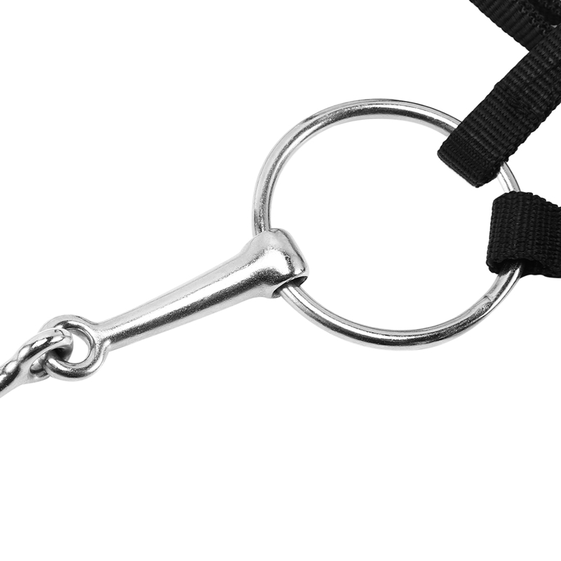 Verstelbare Paardrijden Apparatuur Halter Paard Hoofdstel Met Bit En Rein Riem Voor Paard Paardensport Accessoires Soft Thicken Grote