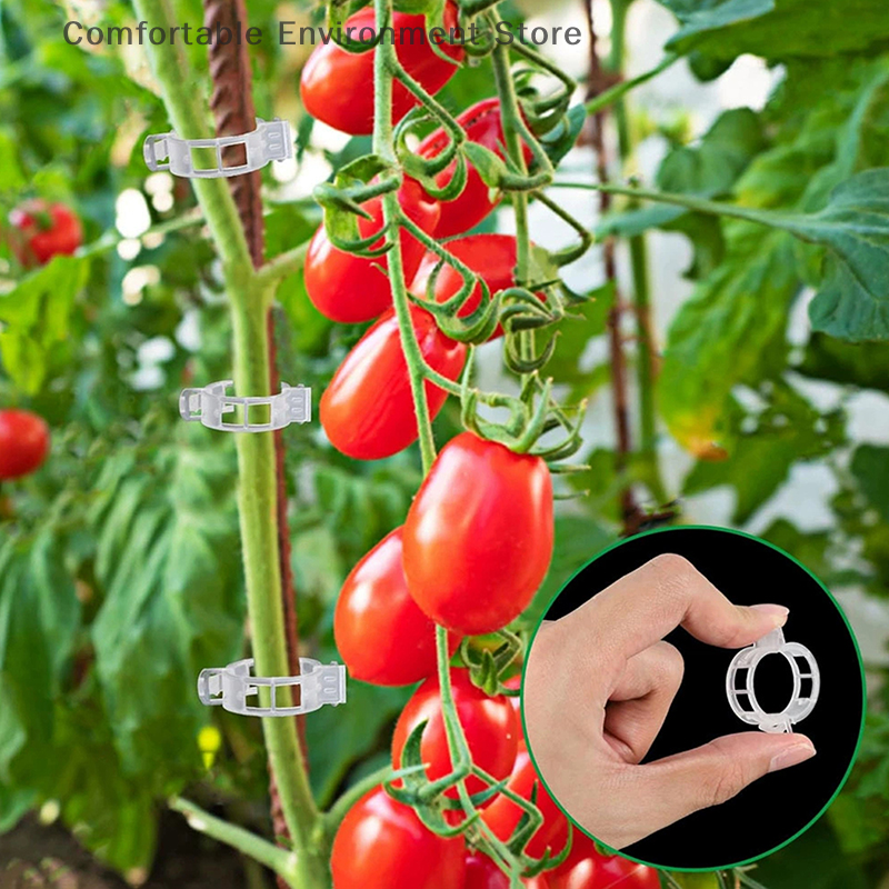 Novidades ~ 100 peças de braçadeiras para plantas, braçadeiras de plástico para plantas trepadeiras, braçadeiras de suporte para plantas reutilizáveis
