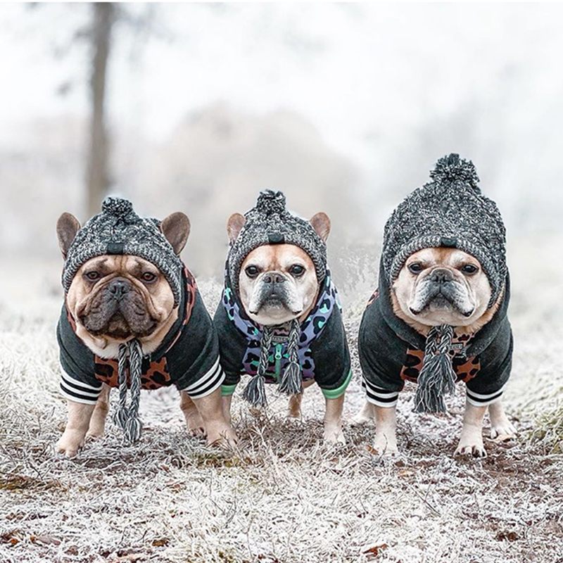 Czapka dla psa czapka zimowa dla zwierząt wiatroszczelna czapka dla małych psów koty buldog francuski na wolnym powietrzu szczeniak kapelusz akcesoria dla psów