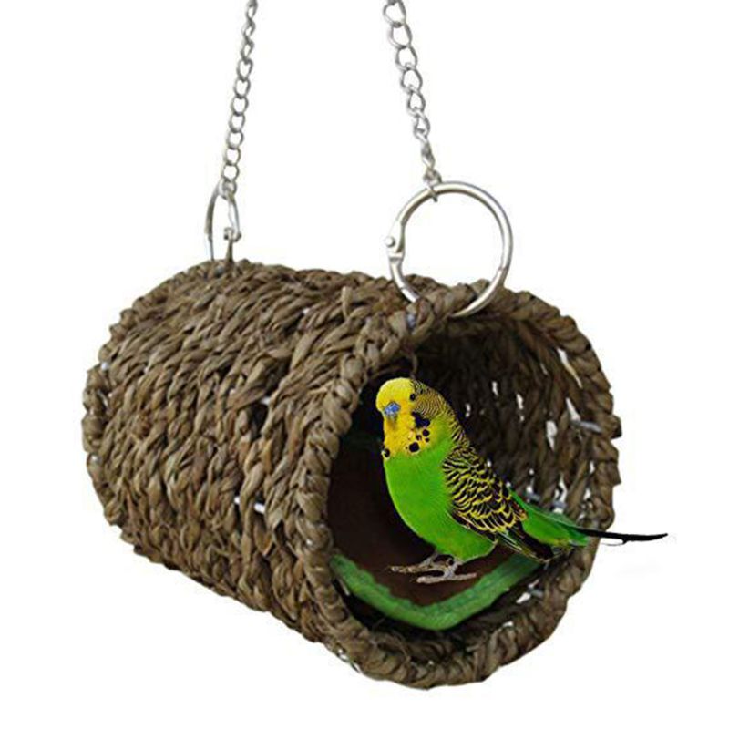 3 pièces perroquet Cage jouet écureuil Hamster écureuil hamac nid d'oiseau balançoire échelle petit Animal oiseau Cage Kits de jouets
