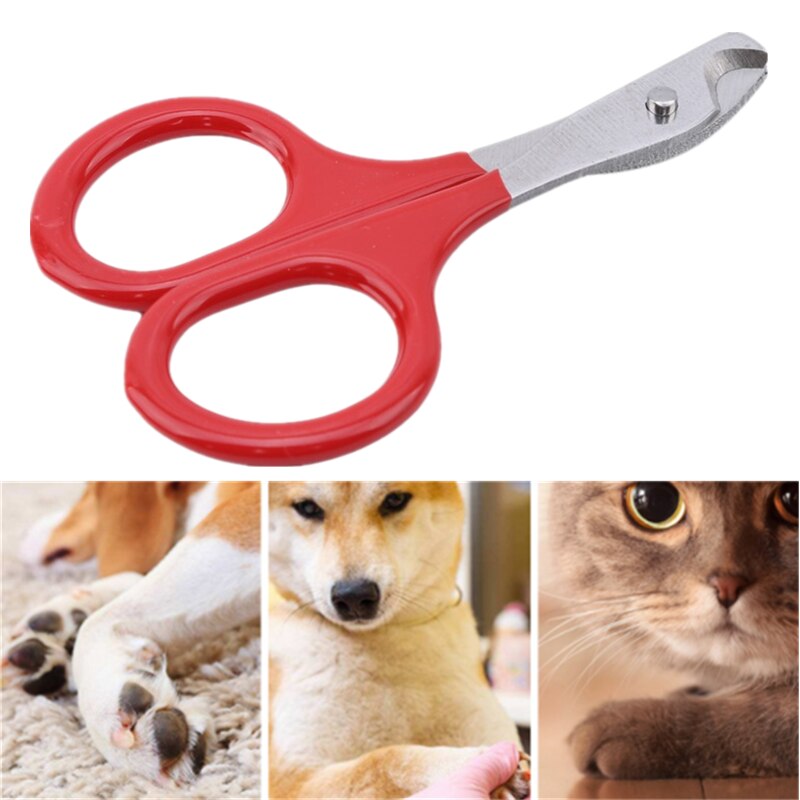 Small Dog Grooming Kit: Best Brushes, Clippers & Tools - Target