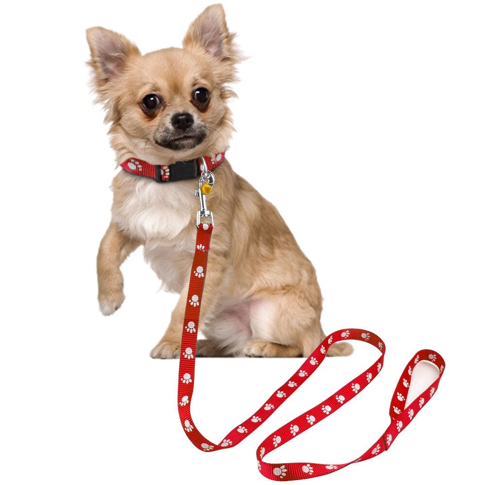 1.0 cm Nylon Kleine Hond Puppy Kraag en Lood Set Pootafdruk Leuke voor Yorkie Chihuahua