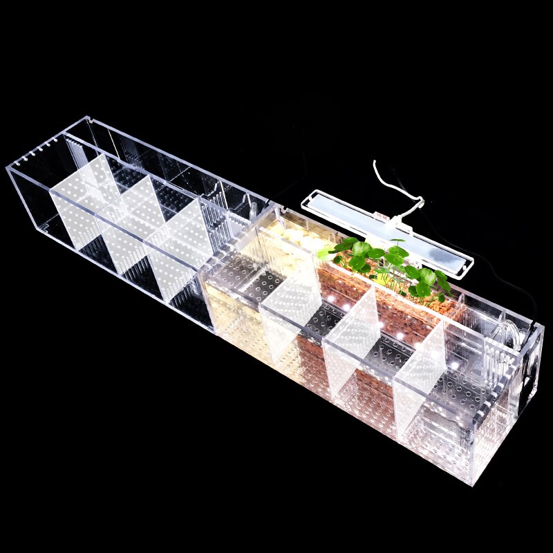 Small Fish Fry Breeding Isolation Box Acrylic Desktop Fish Tank Aquarium With LED Light