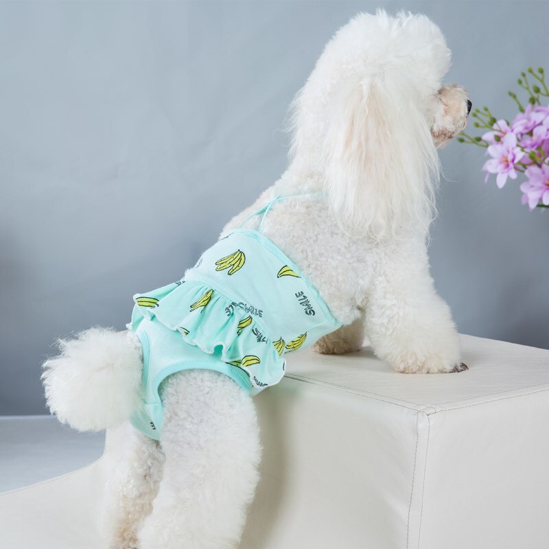 Hond Fysiologische Broek Puppy Jumpsuit Sanitaire Korte Slipje Honden Luiers Ondergoed Sanitair Korte Vrouwelijke Hond Luiers: green / M