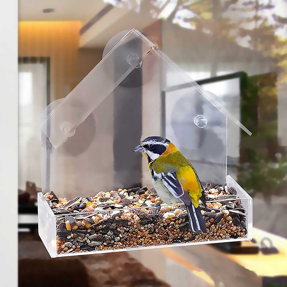Mangeoire pour oiseaux transparente acrylique plexiglas mangeoire pour oiseaux amovible fenêtre suspendue avec ventouse mangeoire pour oiseaux