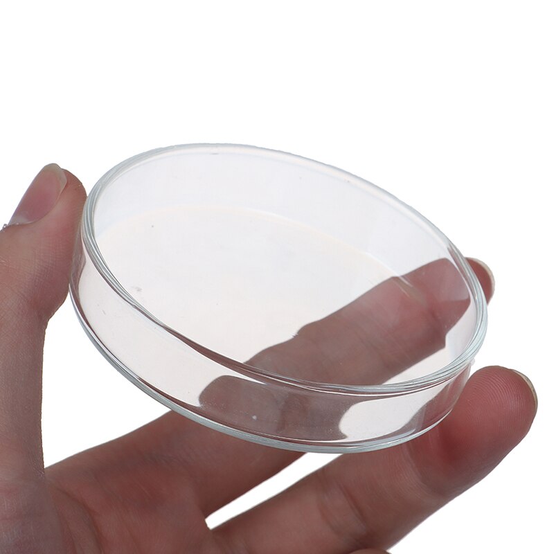 Plato de cristal transparente de gambas para comer, bandeja alimentadora de comida, contenedor redondo para acuario