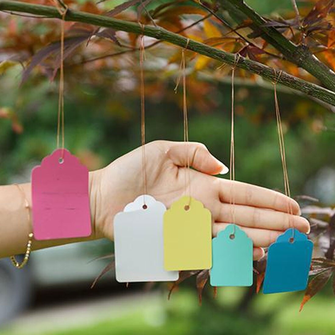 100 Stuks Herbruikbare Planten Hang Tag Labels En Merken Zaailing Tuin Bloempot Plastic Tag Nummer Plaat Opknoping Pvc Tool