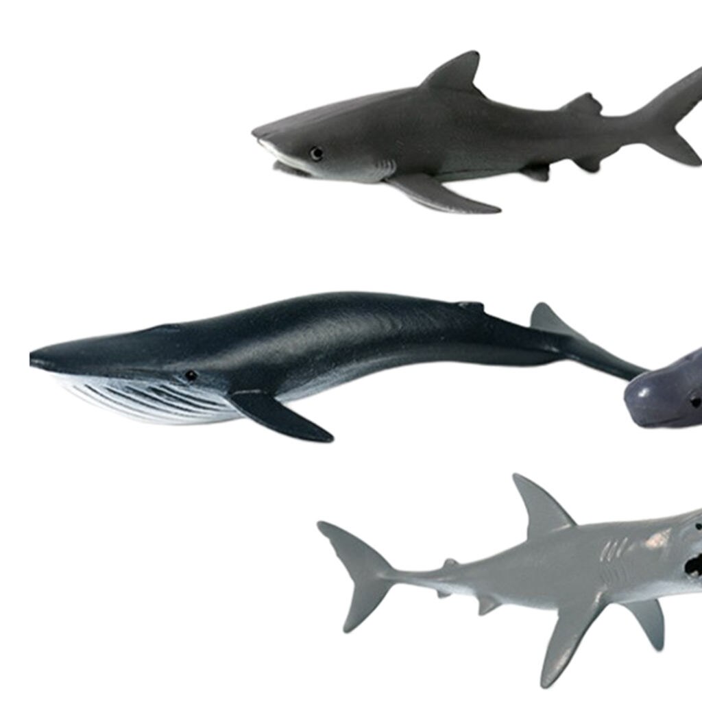 Sea Life Animal Model Figures Marine Kids Preschool Learning Educational