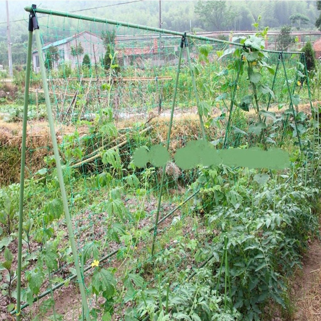 Fruit Groente Bloem Wijnstok Klimmen Netto Tuin Komkommer Loofah Plaid Netting Tuin Planten Klimmen Netten Mesh Groeien Houder