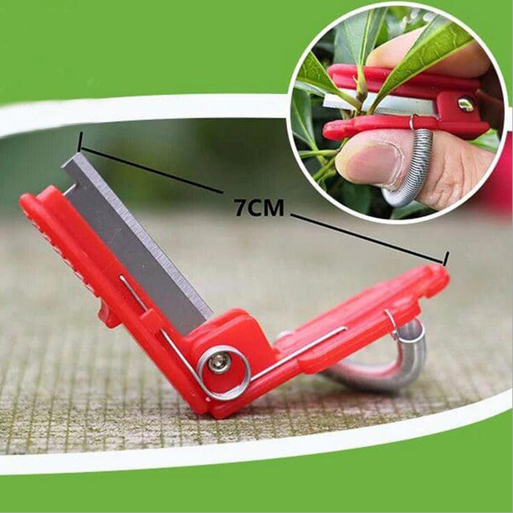 Farm Vegetable Fruit Picker Pickle Pepper Pickle Tip Picker Iron Nail Pick Grape Picker For Garden Tools garden tools