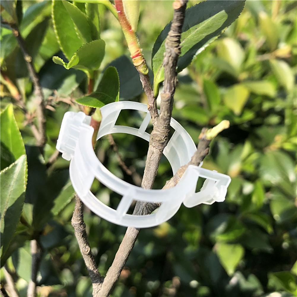 50Pcs Trellis Tuin Groenten Tomaat Wijnstok Stengels Groeien Rechtop Ondersteuning Plant Clips Voor Kousenband Planten Landbouw Duurzaam