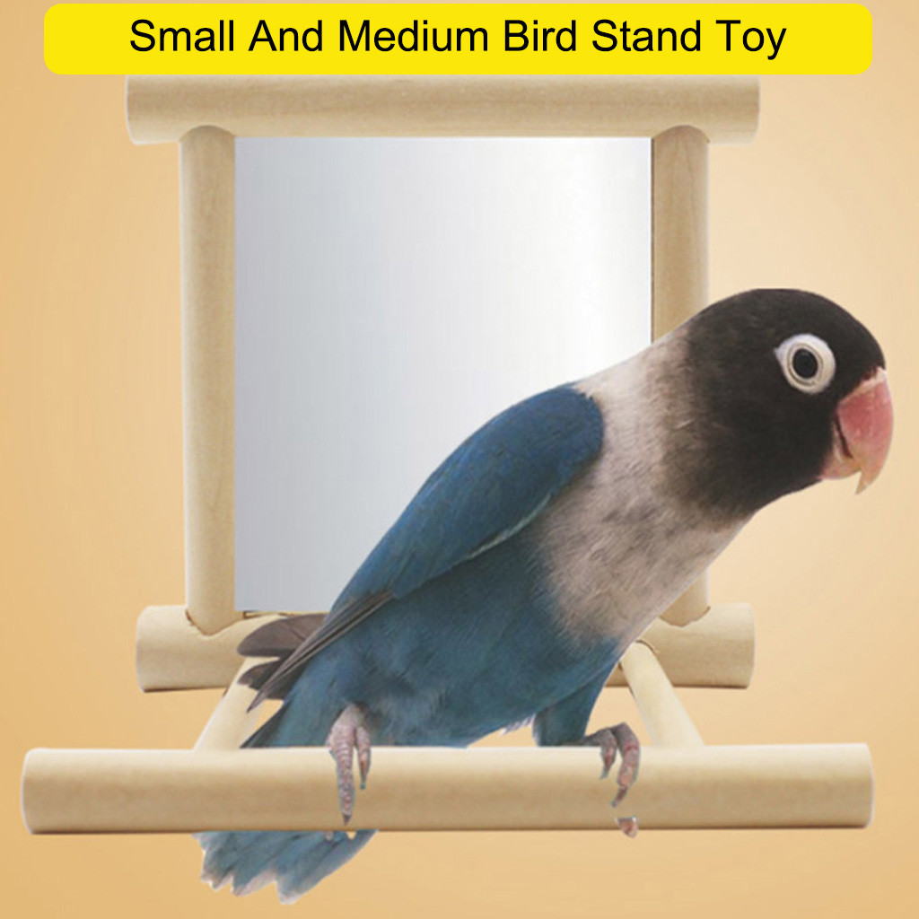 40 @ oiseau jouets miroir mâcher aire de jeux cacatoos oiseaux suspendus jouet pour chien chat accessoires oiseaux suspendus jouet