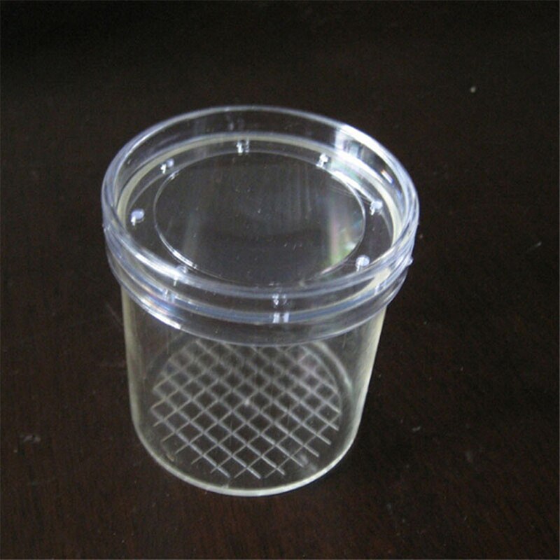 Insect Observation Box Insect Magnification Observation Cup Toys Magnification Kindergarten Elementary Science Experimen: Default Title