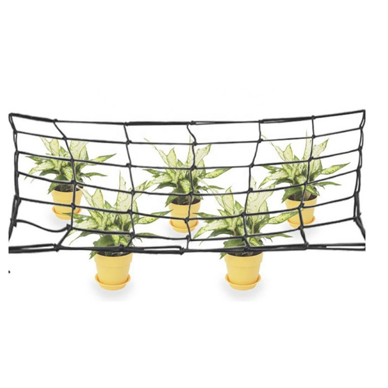 Enrejado de jardín para plantas trepadoras, malla elástica protectora para árboles frutales, carpa de cultivo hidropónico, red de apoyo para plantas