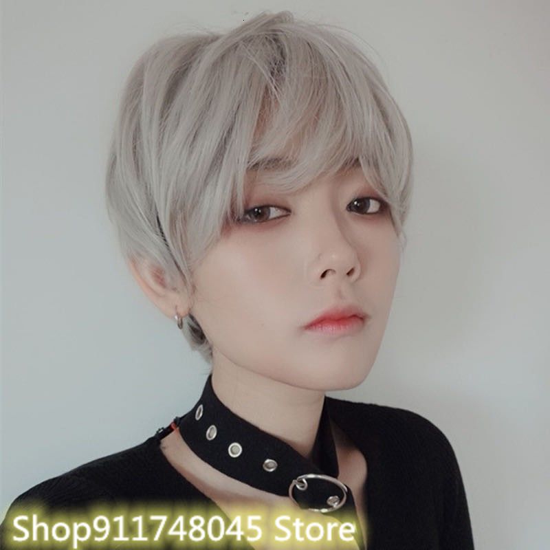 Korean Unisex Short Straight Hair Wig Full Head Wig Gray Black Cosplay