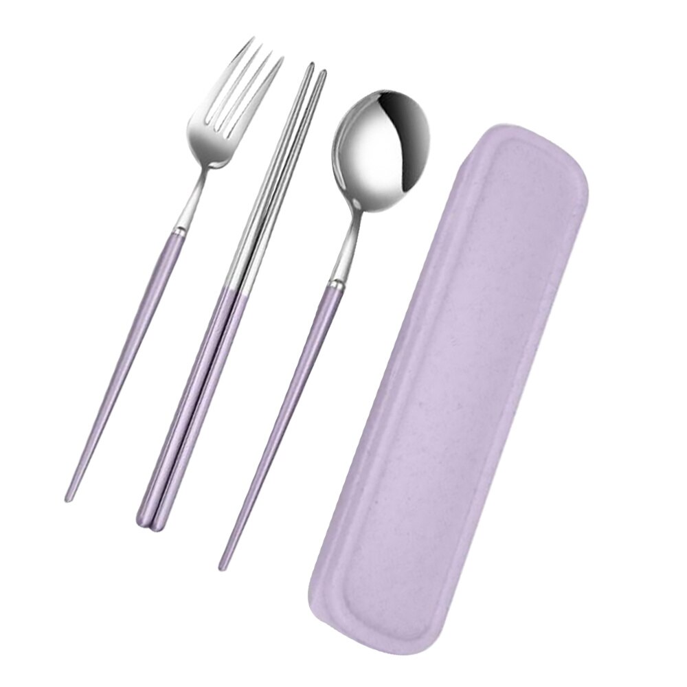 Flatware Set Stainless Steel Reusable Utensils Spoon Chopsticks Storage Case Kit for Camping Picnic Travel: Plue 1
