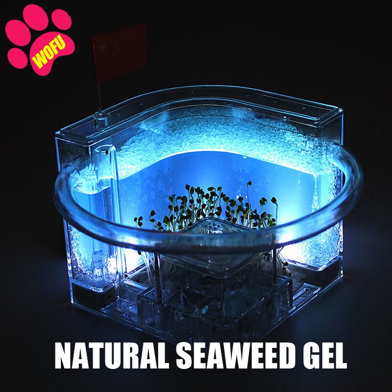 WOFUWOFU Lnsect Hotel，Ant Farm，Ant Glow Ocean View Villa Big Ants House Ant Nest Villa Insect Pet Anthill: blue with light