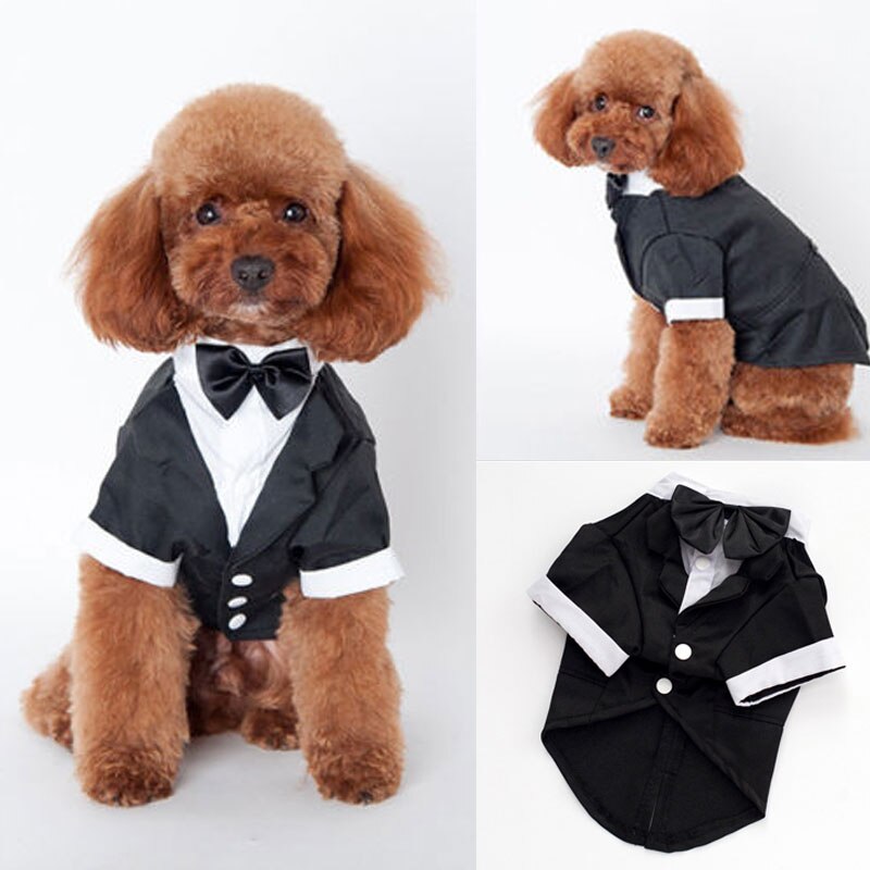 Perro mascota ropa para cachorros de gato traje de boda traje de esmoquin pajarita cachorro ropa de abrigo traje de camisa de cuello XS, S, M, L, esmoquin XL
