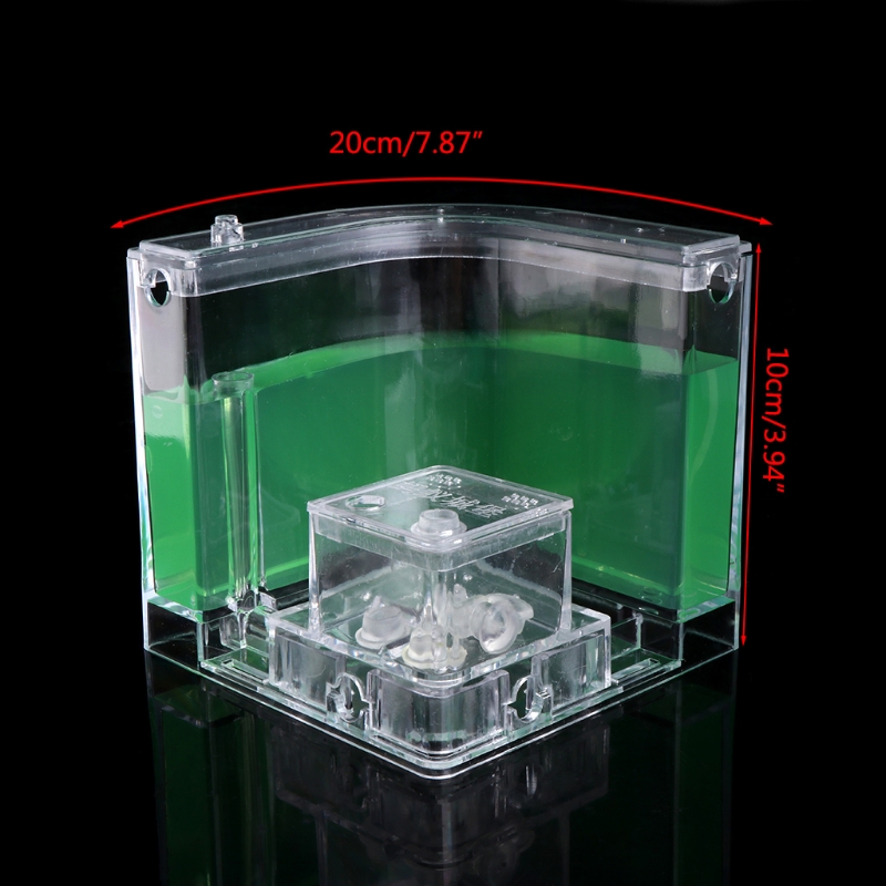 Ant Farm Gel Maze 3D Educational Nursery Live Feeding System Novelty Habitat