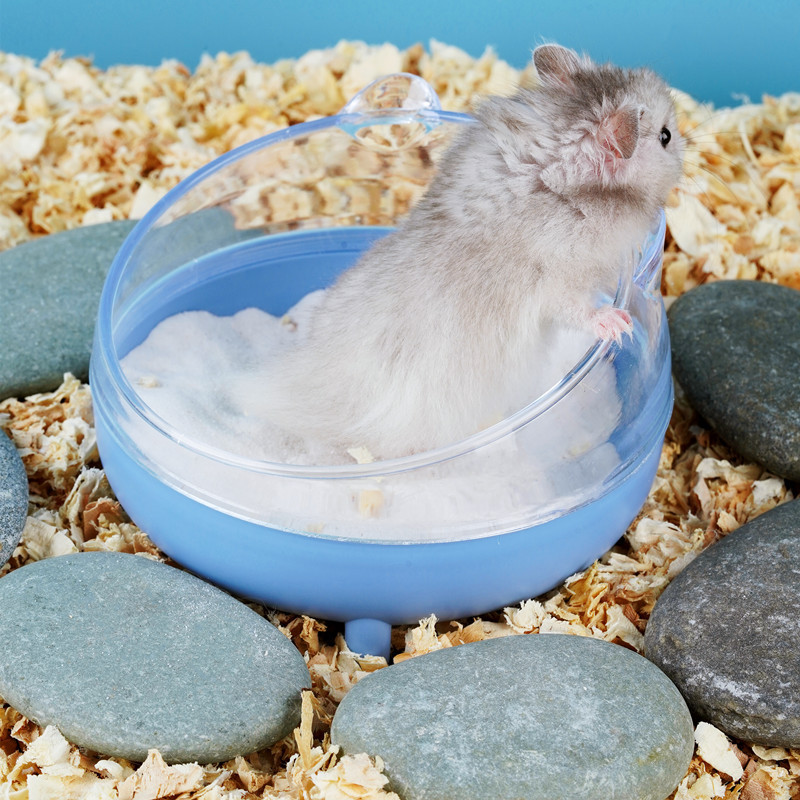 Hamstertoalett chinchilla badehus gylden Bjørn baderom helt gjennomsiktig synsfelt sølebeskyttelse til gerbil andre små skinker