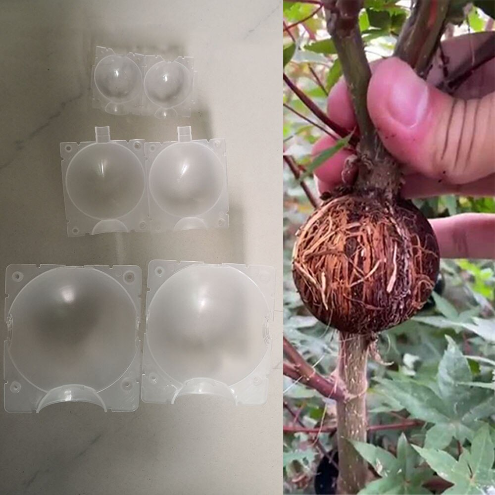 10 stücke Anlage Verwurzelung Gerät Hochdruck Ausbreitung Übertragung Ball Pflanzenzucht Gerät Druck Ausbreitung Pfropfen Ball