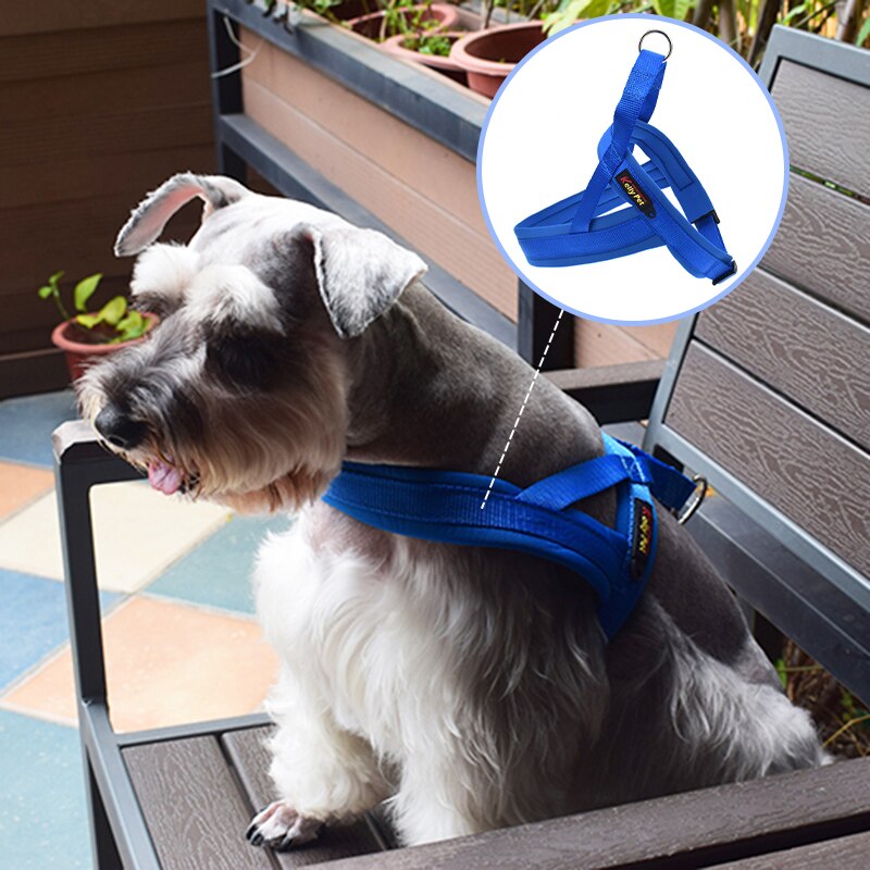 Nylon Hond Borst Harnas Met Tractie Riem Kraag Verstelbare Kleine Medium Grote Huisdieren Outdoor Strap Honden Benodigdheden Voor Animal