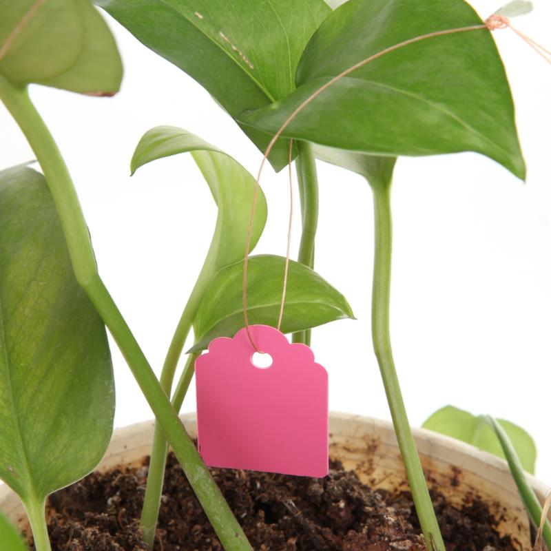 Etiquetas para plantas de vivero impermeables tipo T de PVC de 100 Uds., etiquetas para flores reutilizables de , etiquetas gruesas, adorno para jardín