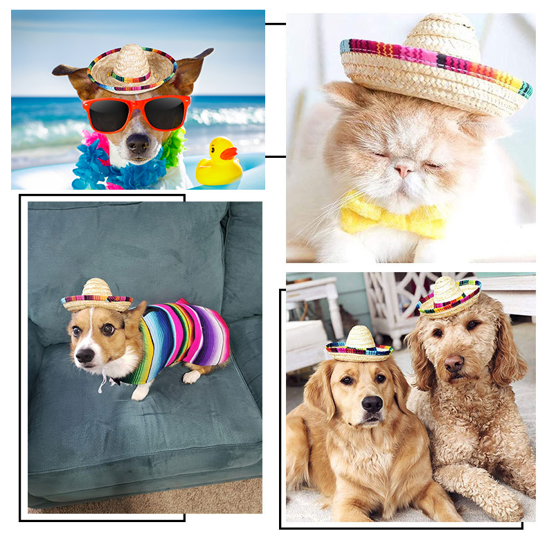 Sombrero de paja para perros de compañía Mini , Sombrero para el sol para gatos, sombreros de paja para en la playa, Sombrero de Estilo Hawaiano para perros Accesorios divertidos
