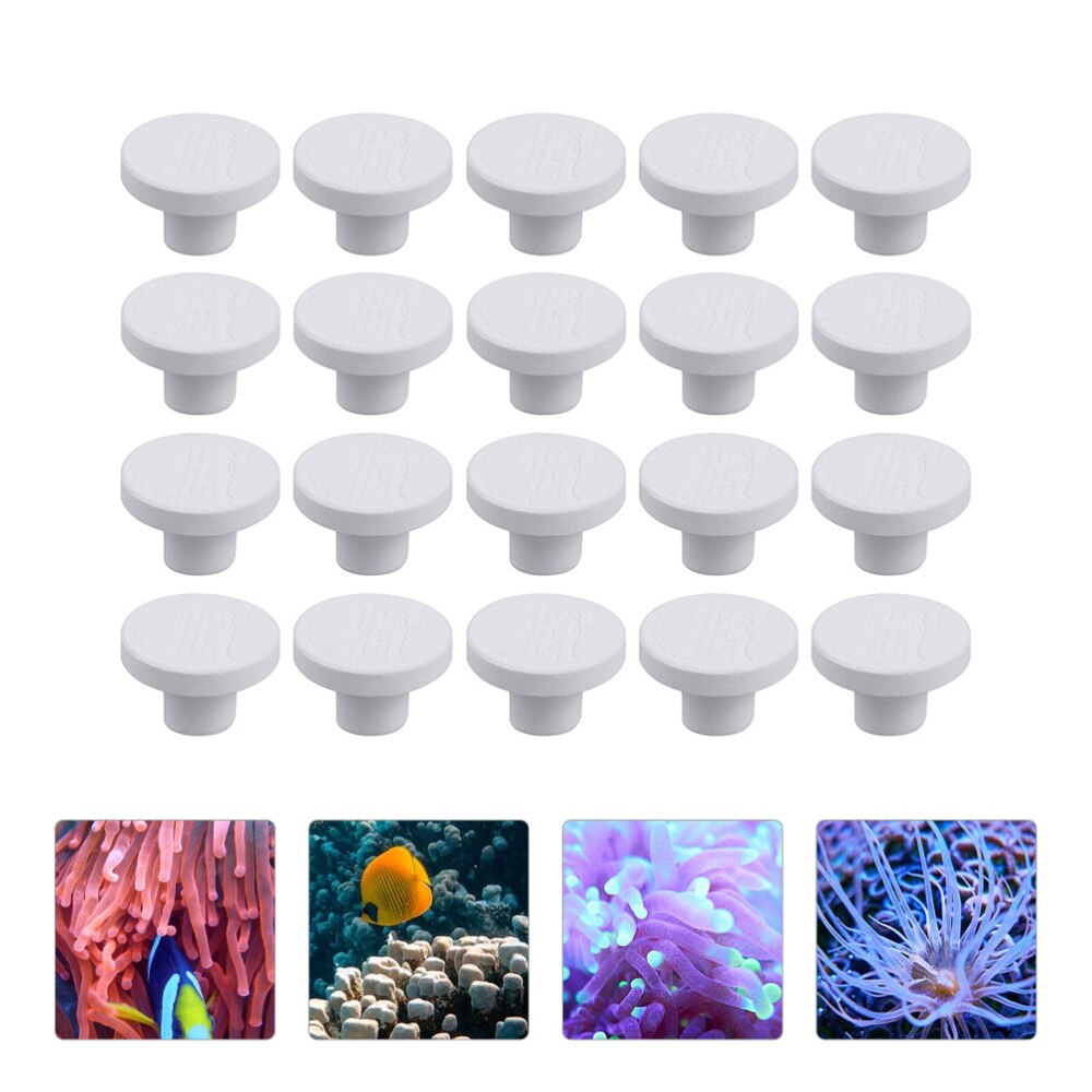 20pcs Coral Frag Rack Aquarium Durable Small Coral Bracket Reef Base Coral Frags Base