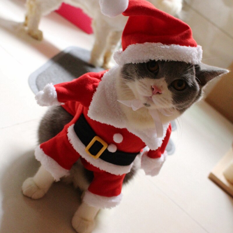 [MPK Gatto Costumi] Babbo natale del costume Del Gatto di!! carino Santa! Rosso Santa animale domestico Gatto Vestiti Vestito, Cappotto Abbigliamento, X-mas costume