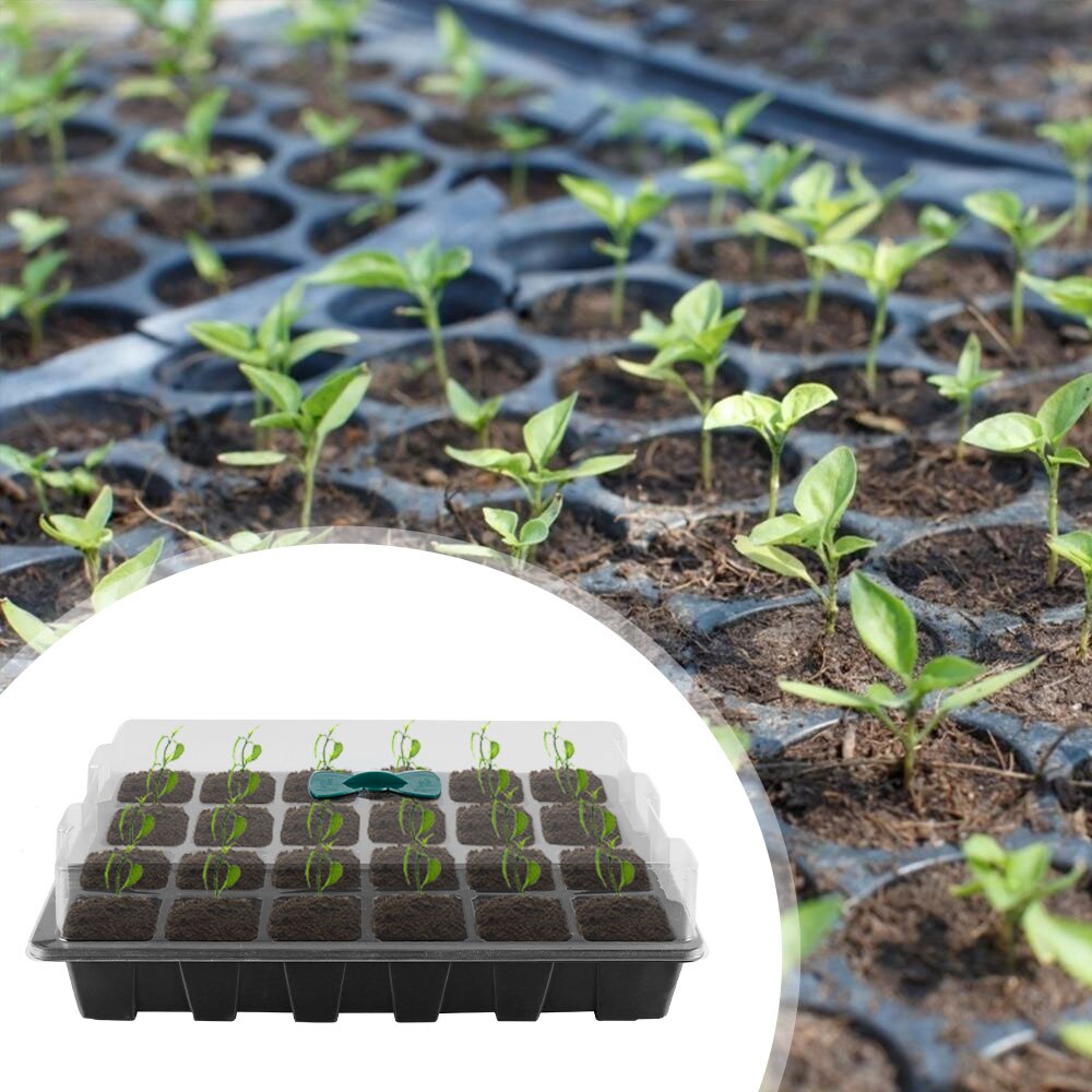 3Pcs 12/24 Cellen Zaad Starter Trays Plant Zaden Grow Box Trays Kieming Doos Met Transparante Deksels Doos Kwekerij potten
