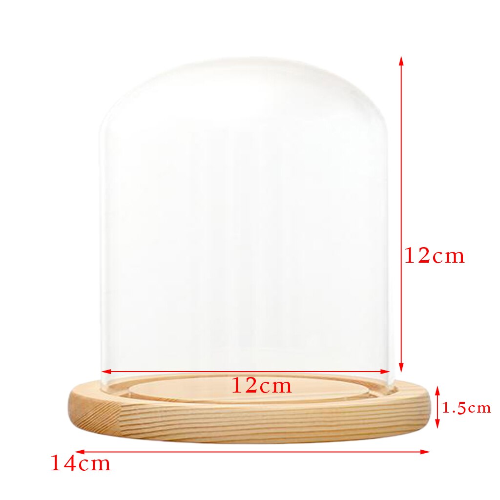Glass Display Dome + LED Wooden Base, Decorative Clear Glass Cloche Bell Jars Display Dome for Decor: E 12x12cm