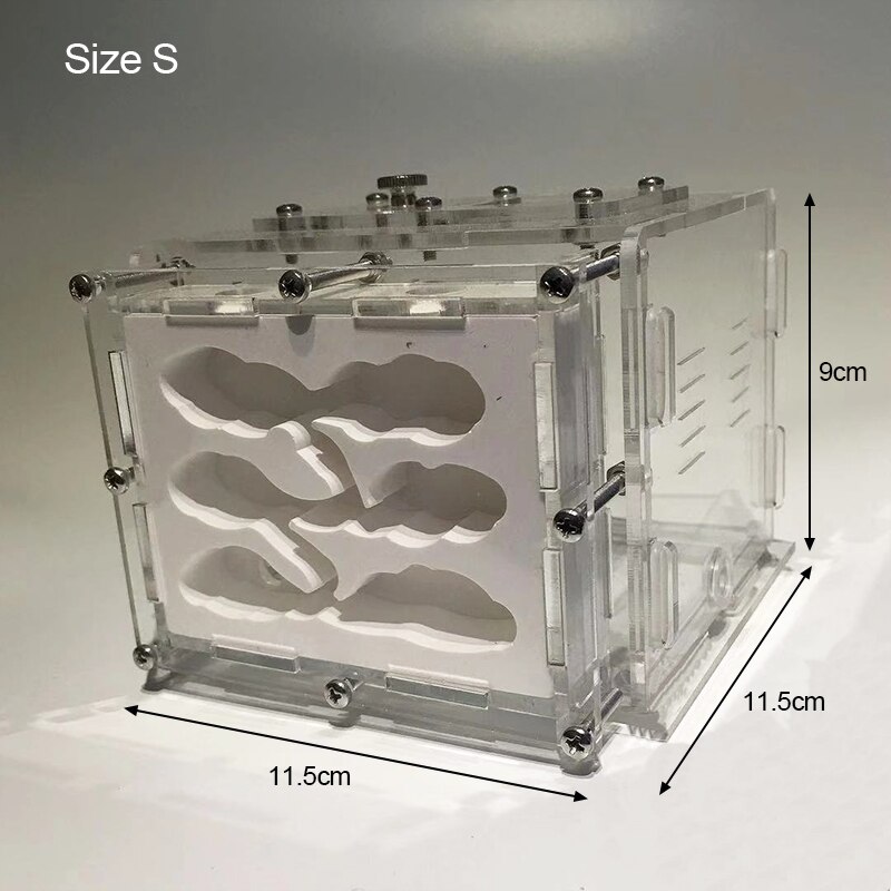 DIY Gypsum Ant Farm Plaster Ant Nest with Feeding Area Moisturize Ecological Ant House Workshop for Pet Anthill: S