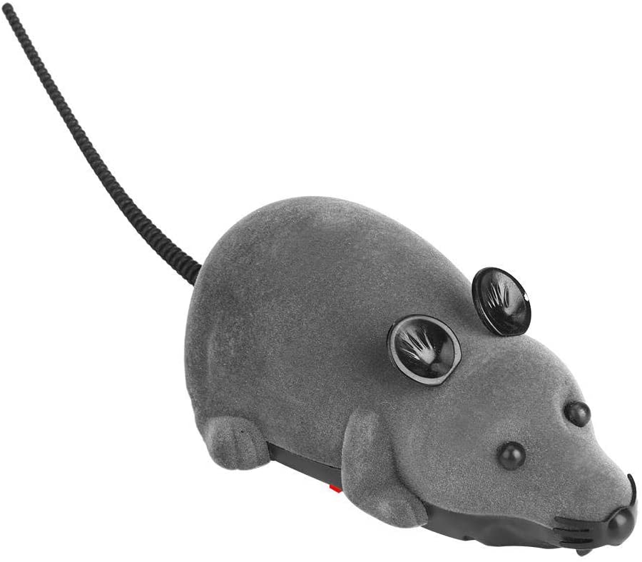 Chat jouets interactif télécommande sans fil RC Simulation souris jouet électronique Rat souris jouet pour chaton chat nouveauté balle jouet: Gray / L