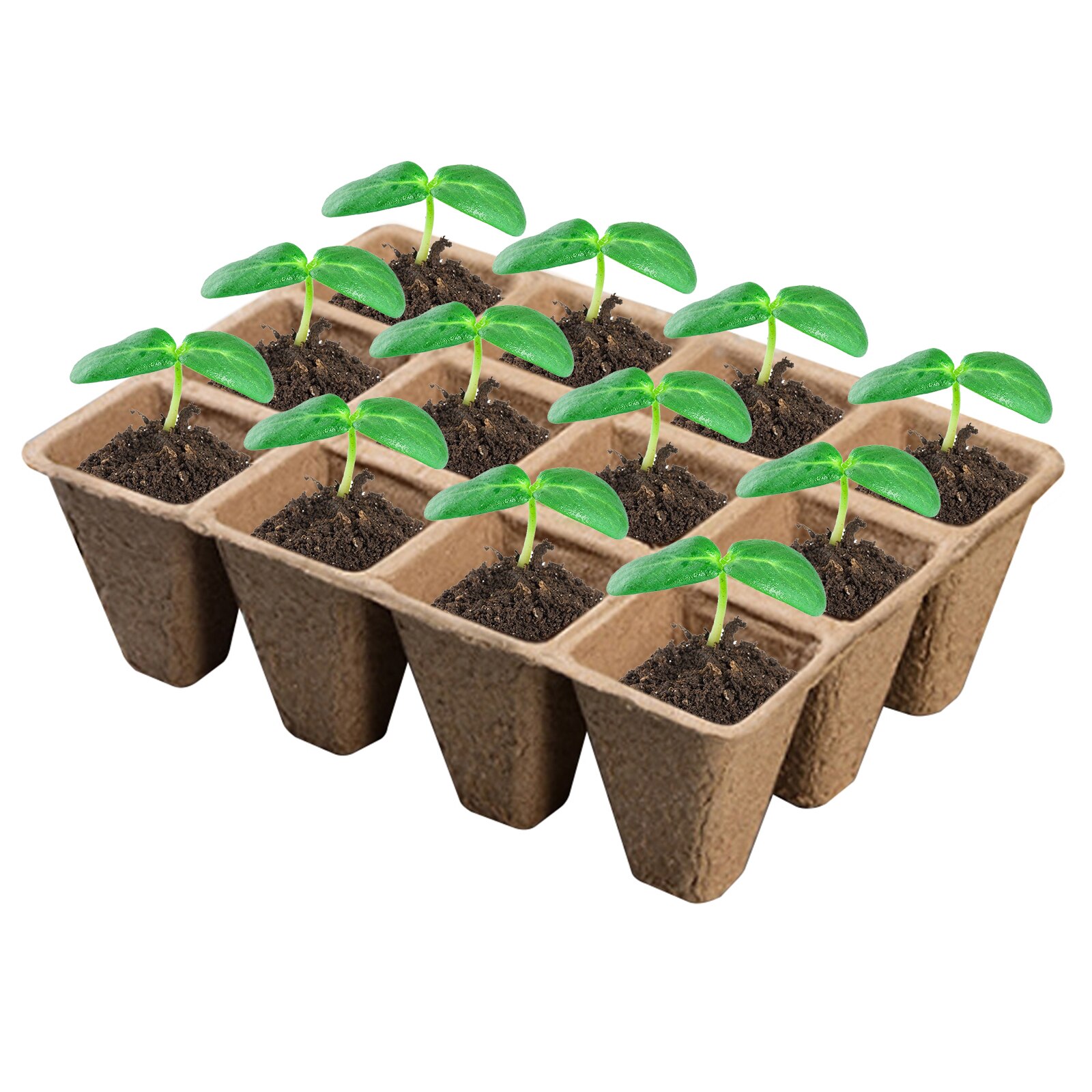 Seedling Starter Trays Eco-friendly Biodegradable Planting Germination Seedlings Starter Trays for Flower Herb Sowing Seed Kit