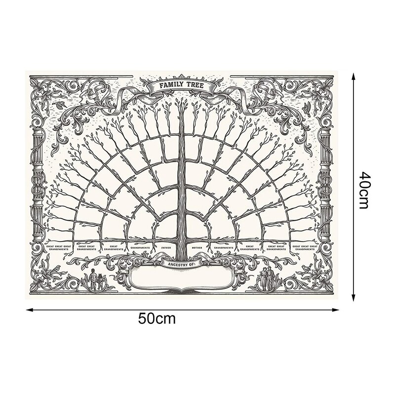 Familie Boom Grafiek Te Vullen In 5/6/7 Generatie Genealogie Poster Blank Invulbare Voorouders Grafiek: c